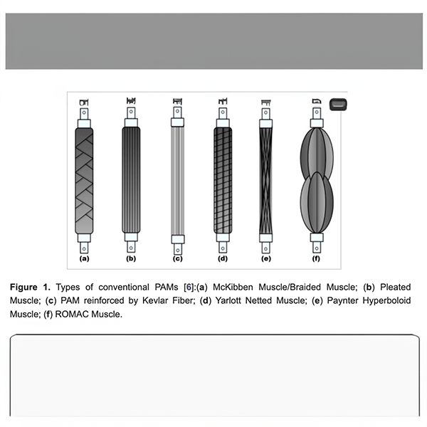 The McKibben muscle model uses a rubber inner bladder wrapped in a braided mesh. When air is pumped in, the bladder wants to expand outward, but the braid stops it from doing that. Instead, the whole thing shortens, creating tension — kind of like stretching an elastic band, except the force comes from air pressure instead of rubber.